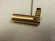 brass hosetail trial small.JPG